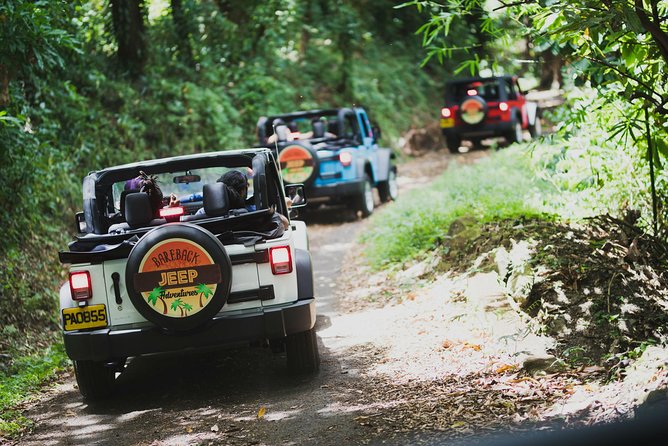 4x4 driving through sunlit jungle trail in the Caribbean