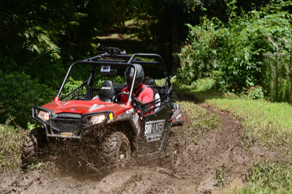 Jeep at Caribbean beach with palm trees